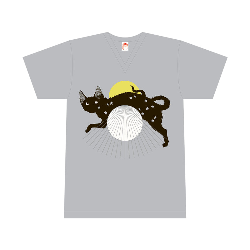 SR猫柳本線 猫キヲスク